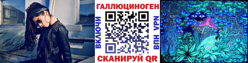 Псилоцибиновые грибы Psilocybine cubensis  Арск 